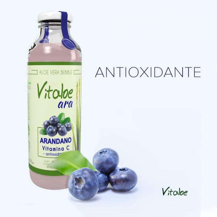 VITALOE VITAMINA C CON ANTIOXIDANTE BOTELLA X 950ML